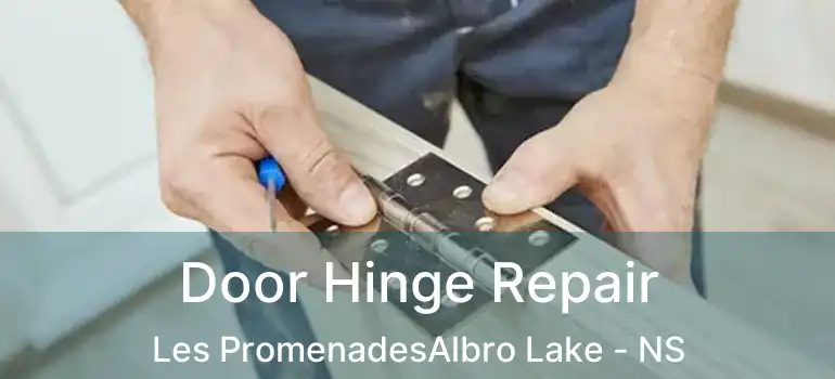  Door Hinge Repair Les PromenadesAlbro Lake - NS