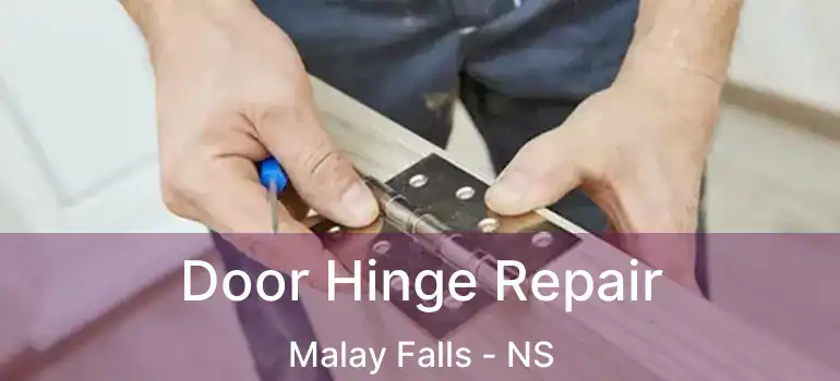  Door Hinge Repair Malay Falls - NS