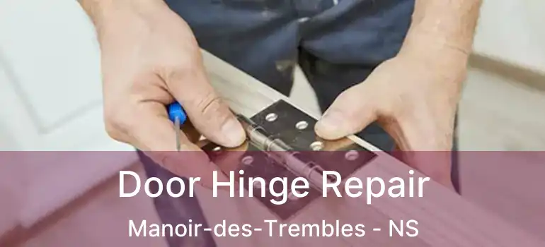  Door Hinge Repair Manoir-des-Trembles - NS