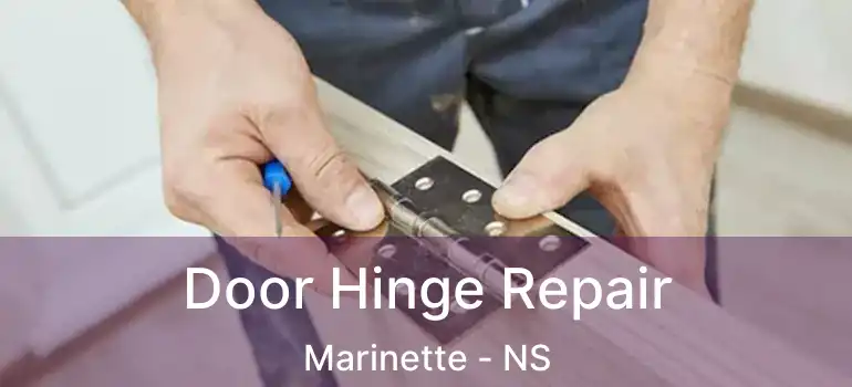  Door Hinge Repair Marinette - NS