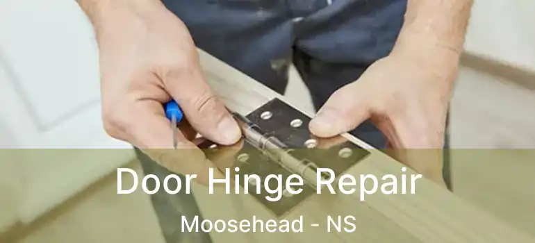  Door Hinge Repair Moosehead - NS