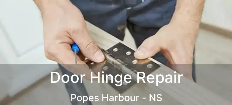  Door Hinge Repair Popes Harbour - NS