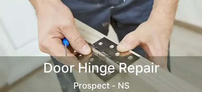  Door Hinge Repair Prospect - NS