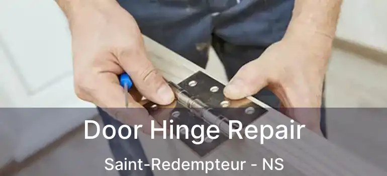  Door Hinge Repair Saint-Redempteur - NS