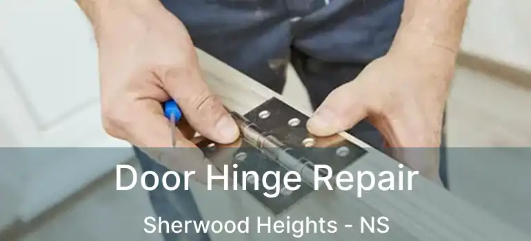  Door Hinge Repair Sherwood Heights - NS