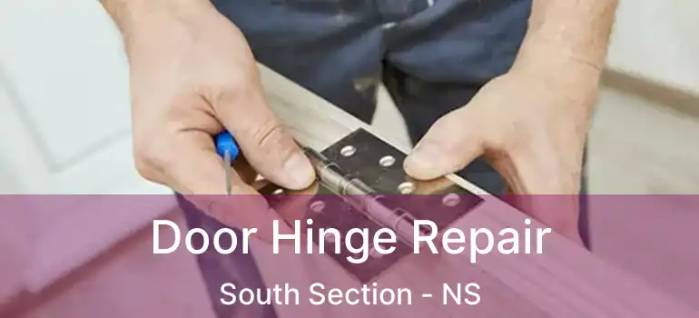  Door Hinge Repair South Section - NS