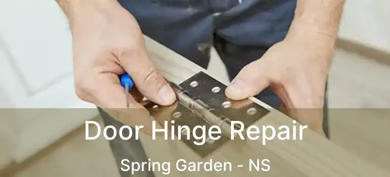  Door Hinge Repair Spring Garden - NS