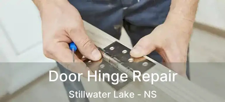  Door Hinge Repair Stillwater Lake - NS