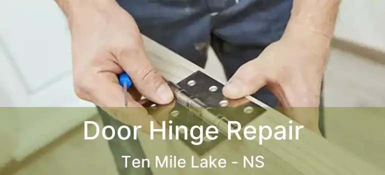  Door Hinge Repair Ten Mile Lake - NS