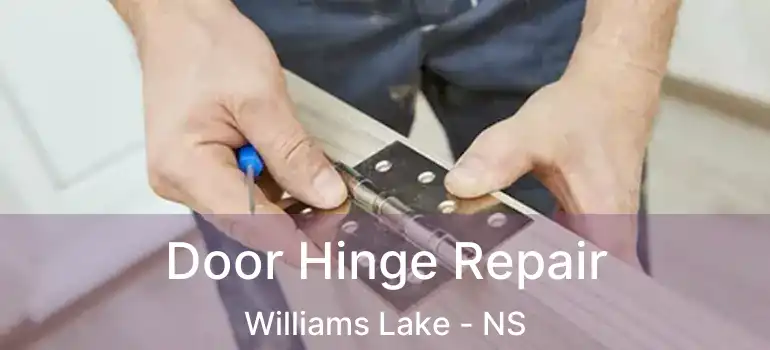  Door Hinge Repair Williams Lake - NS