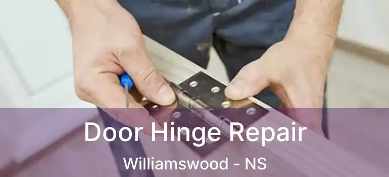  Door Hinge Repair Williamswood - NS