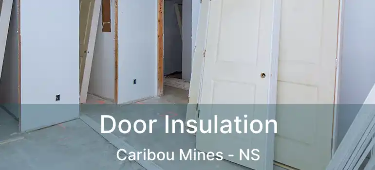  Door Insulation Caribou Mines - NS