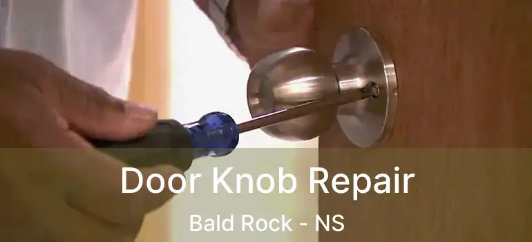  Door Knob Repair Bald Rock - NS