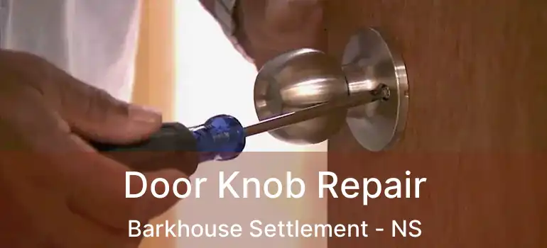  Door Knob Repair Barkhouse Settlement - NS