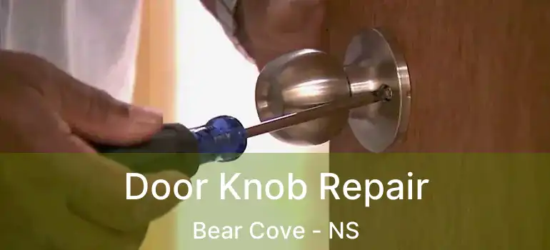  Door Knob Repair Bear Cove - NS