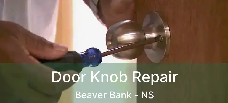  Door Knob Repair Beaver Bank - NS