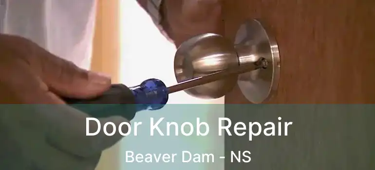  Door Knob Repair Beaver Dam - NS