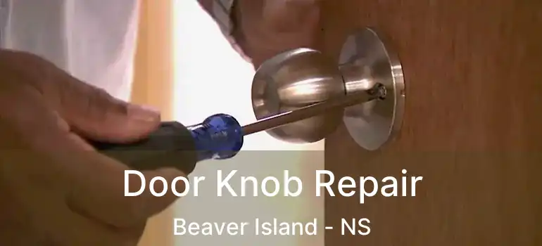  Door Knob Repair Beaver Island - NS