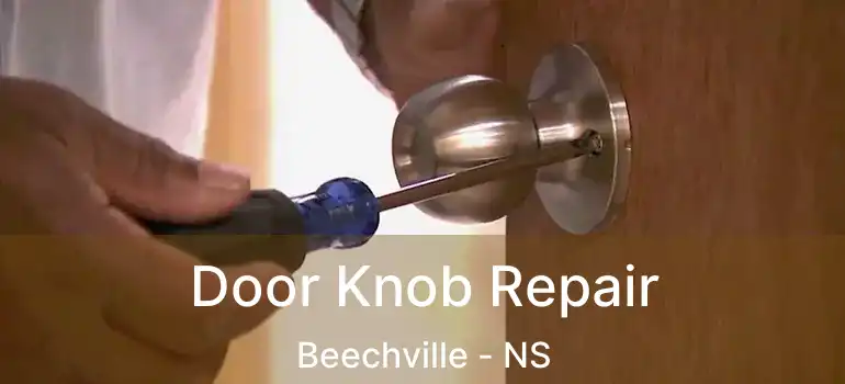  Door Knob Repair Beechville - NS