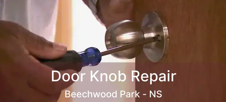  Door Knob Repair Beechwood Park - NS