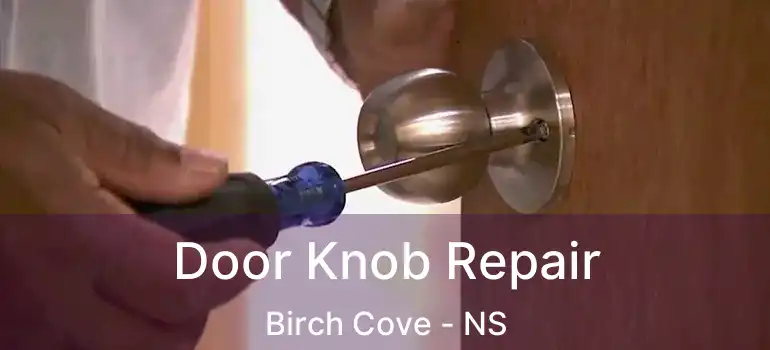  Door Knob Repair Birch Cove - NS