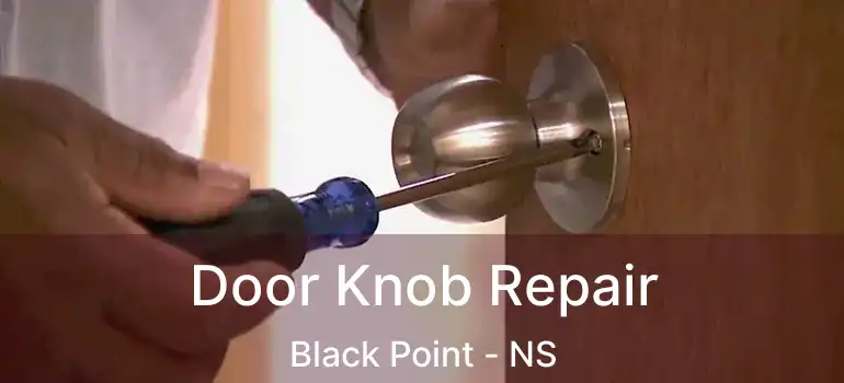  Door Knob Repair Black Point - NS