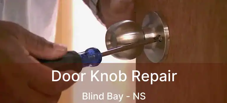  Door Knob Repair Blind Bay - NS