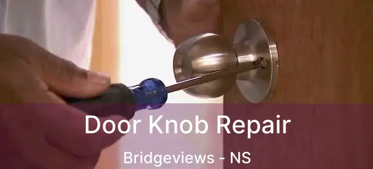  Door Knob Repair Bridgeviews - NS