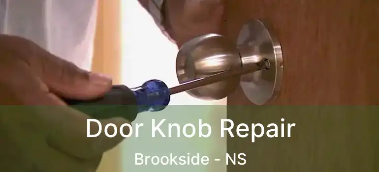  Door Knob Repair Brookside - NS