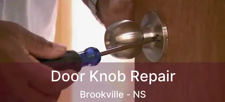  Door Knob Repair Brookville - NS