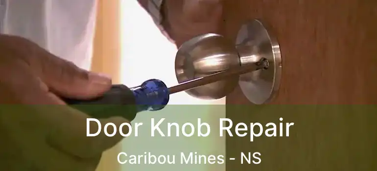  Door Knob Repair Caribou Mines - NS