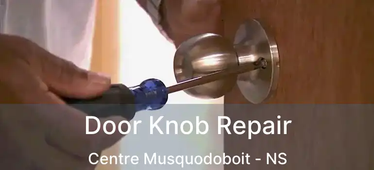  Door Knob Repair Centre Musquodoboit - NS