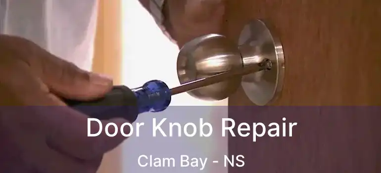  Door Knob Repair Clam Bay - NS