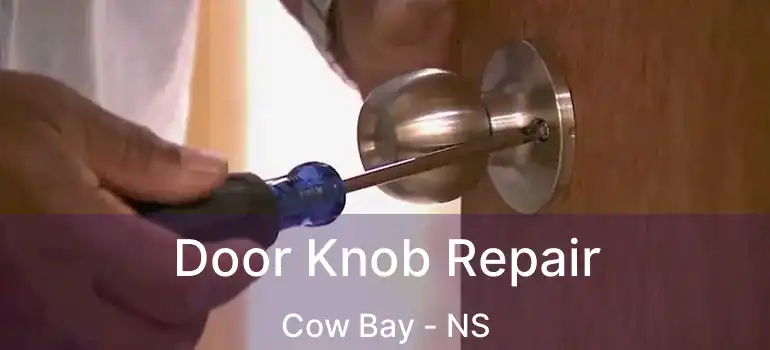  Door Knob Repair Cow Bay - NS