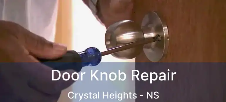  Door Knob Repair Crystal Heights - NS