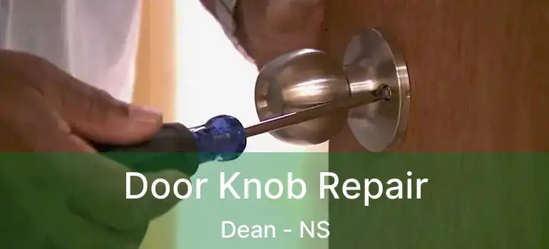  Door Knob Repair Dean - NS