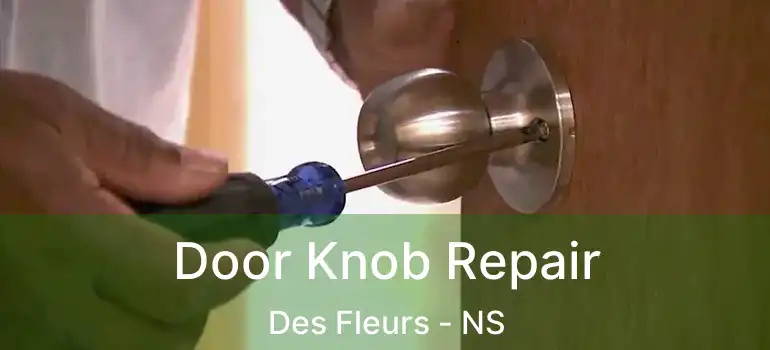  Door Knob Repair Des Fleurs - NS