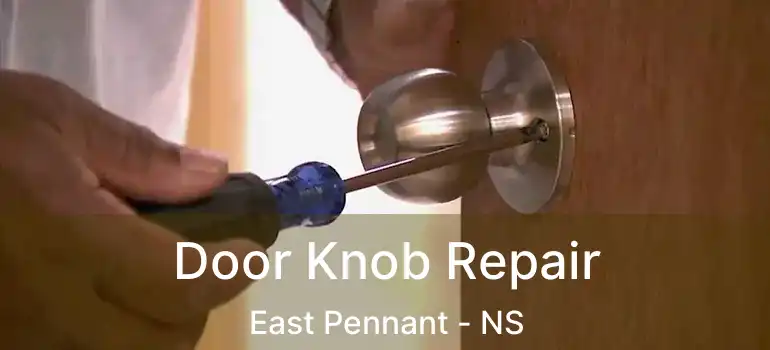  Door Knob Repair East Pennant - NS