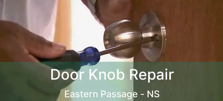  Door Knob Repair Eastern Passage - NS