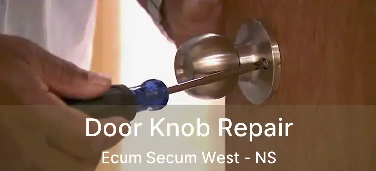  Door Knob Repair Ecum Secum West - NS