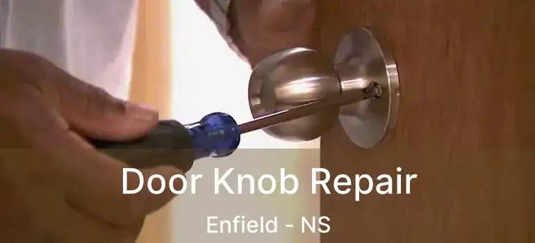  Door Knob Repair Enfield - NS