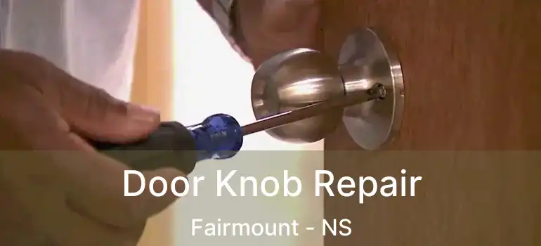  Door Knob Repair Fairmount - NS