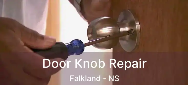  Door Knob Repair Falkland - NS