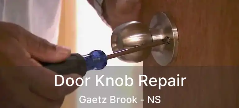  Door Knob Repair Gaetz Brook - NS