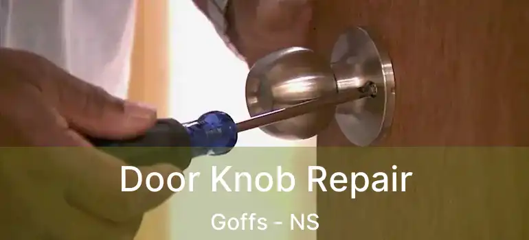  Door Knob Repair Goffs - NS