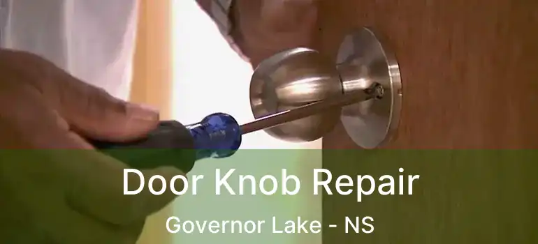  Door Knob Repair Governor Lake - NS