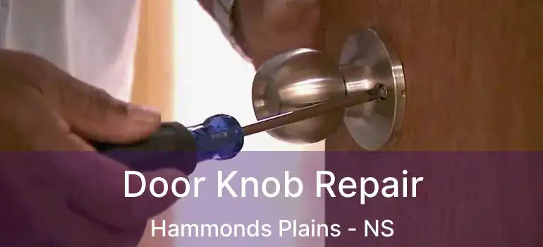  Door Knob Repair Hammonds Plains - NS