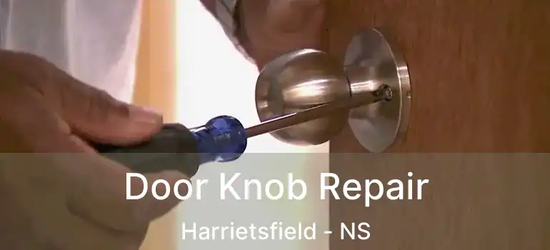  Door Knob Repair Harrietsfield - NS