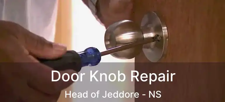  Door Knob Repair Head of Jeddore - NS