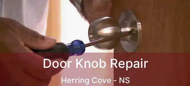  Door Knob Repair Herring Cove - NS